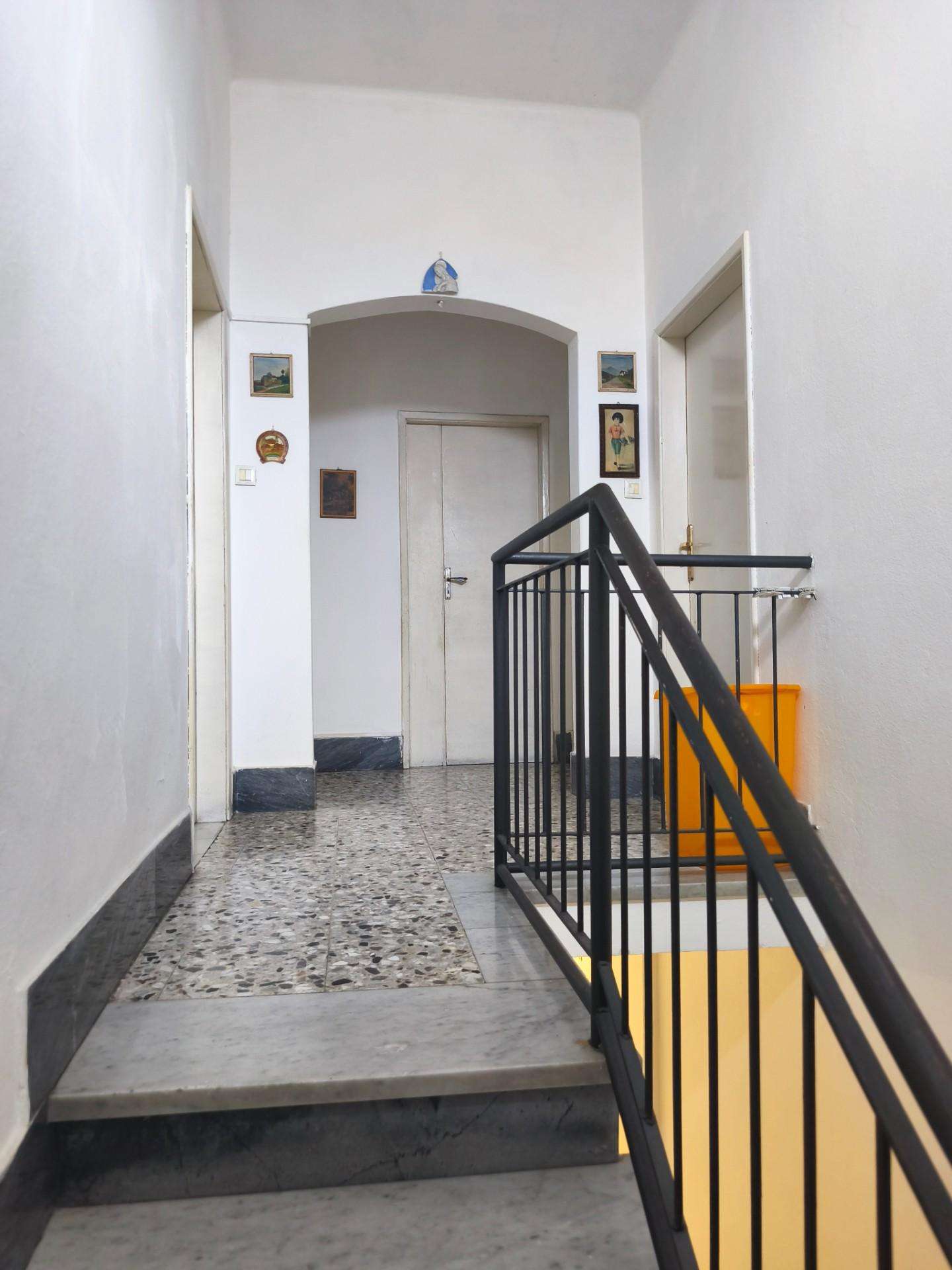  - foto 13