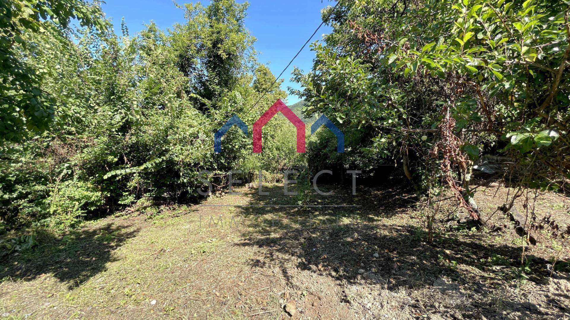  - foto 51