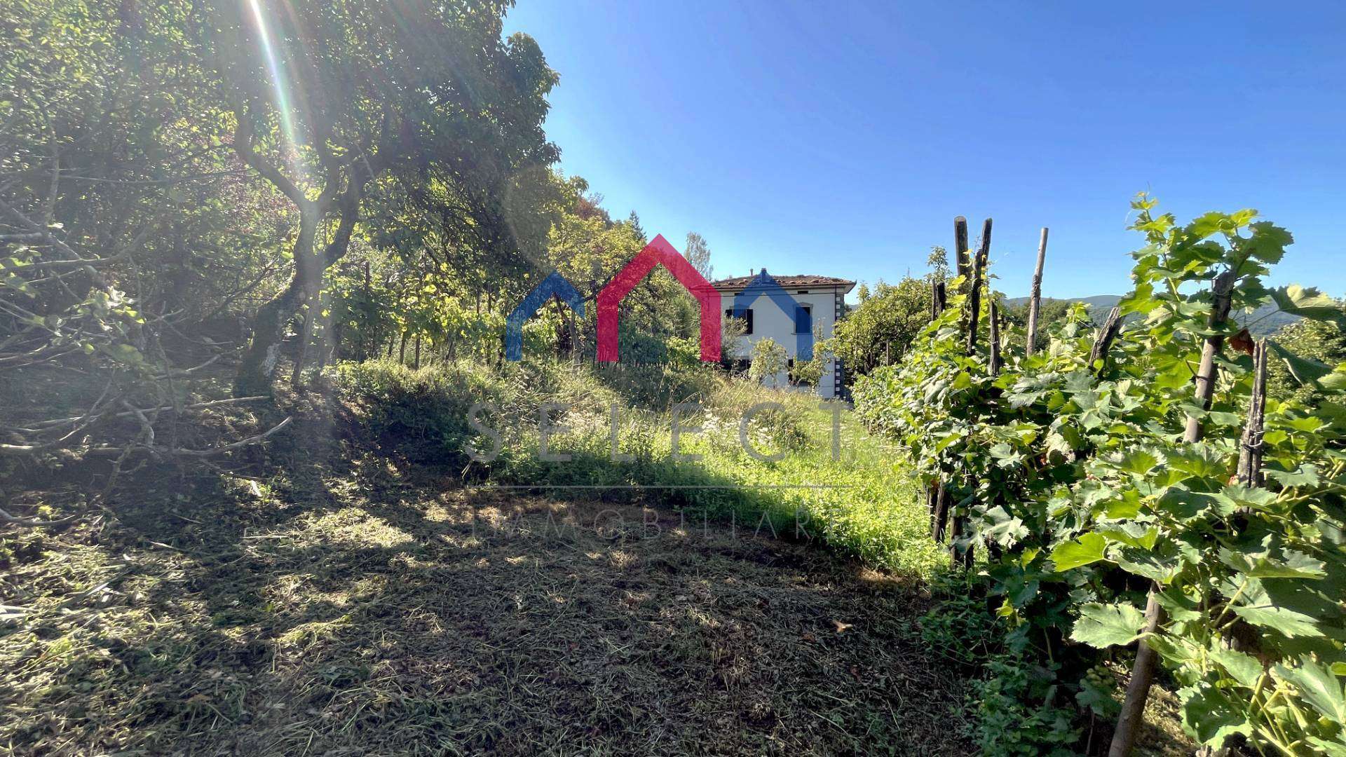  - foto 54