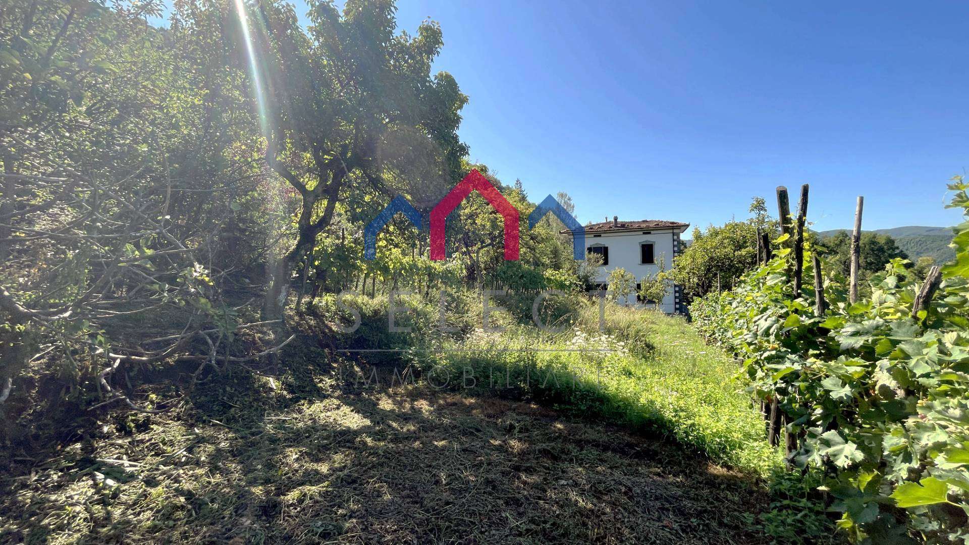  - foto 56