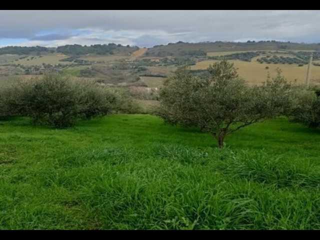 - foto 14