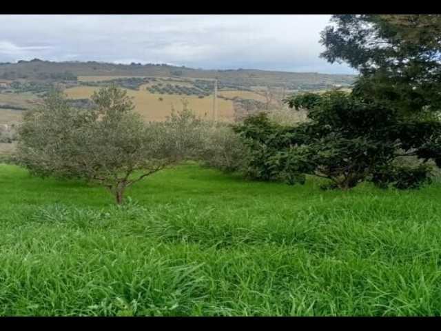  - foto 15
