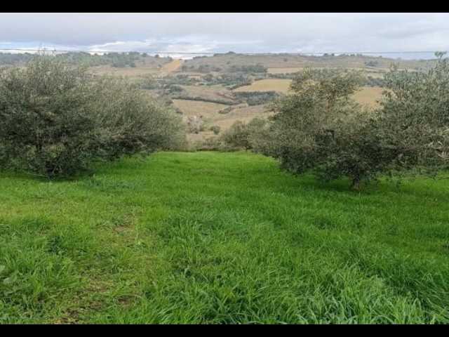  - foto 16