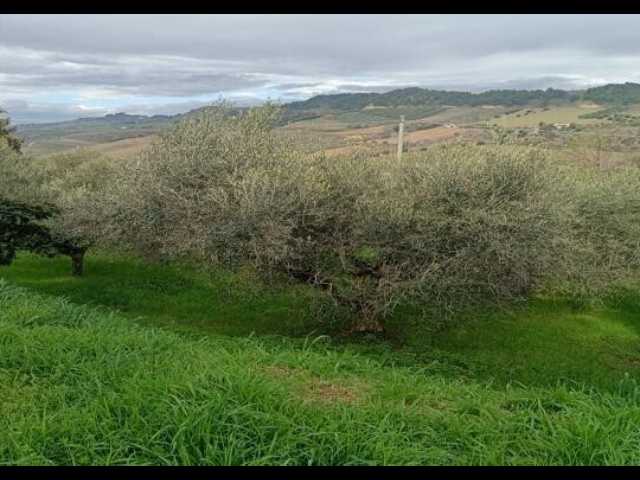  - foto 19