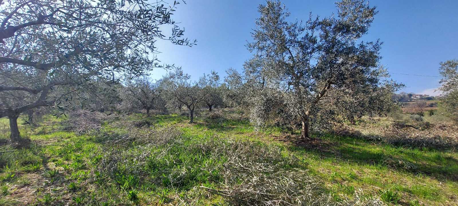  - foto 21