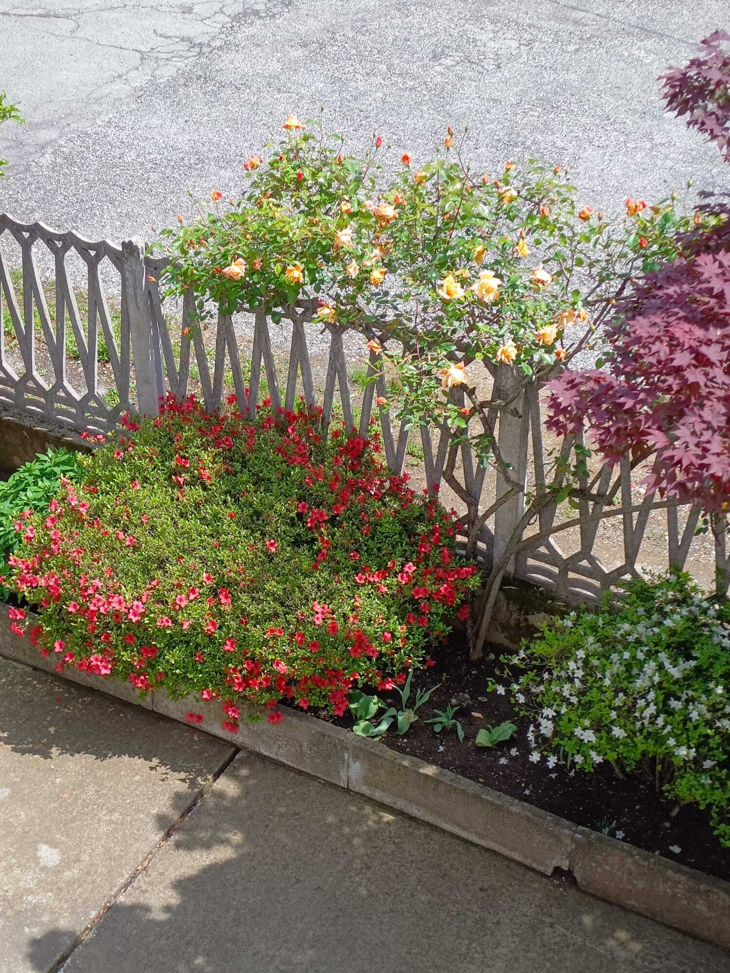  - foto 70