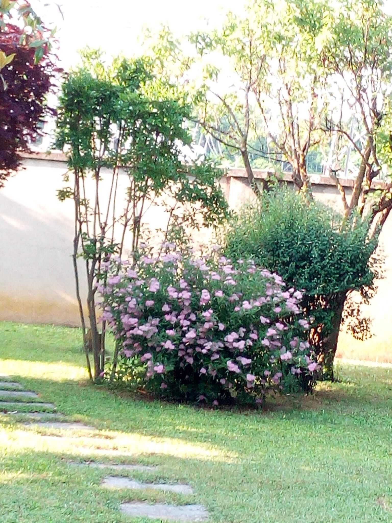  - foto 71