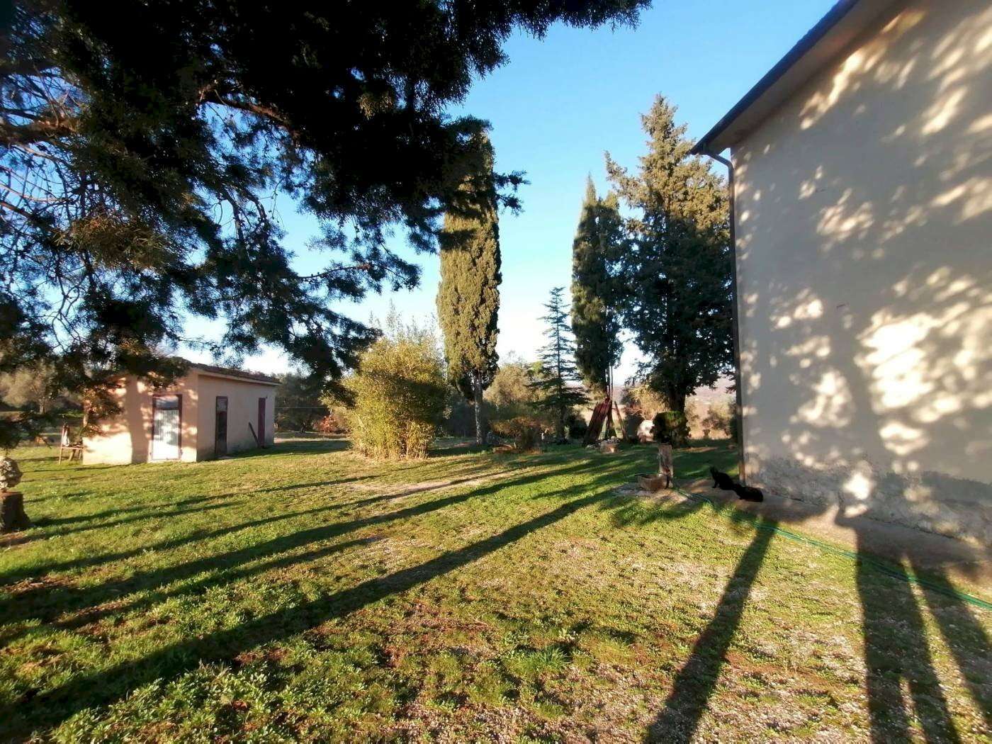  - foto 36