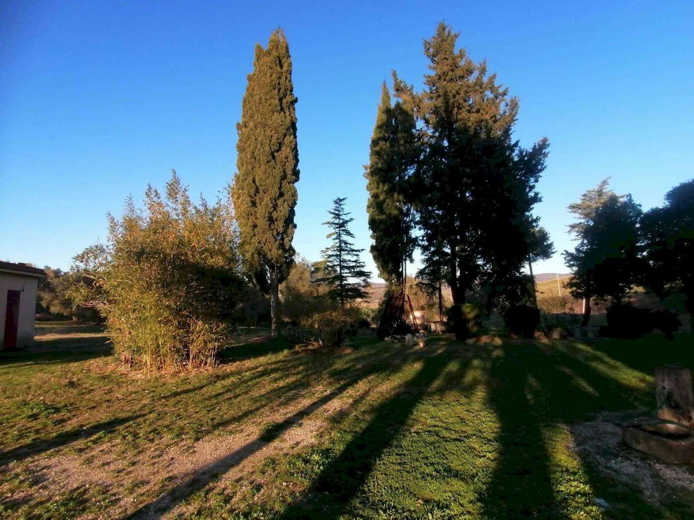  - foto 37