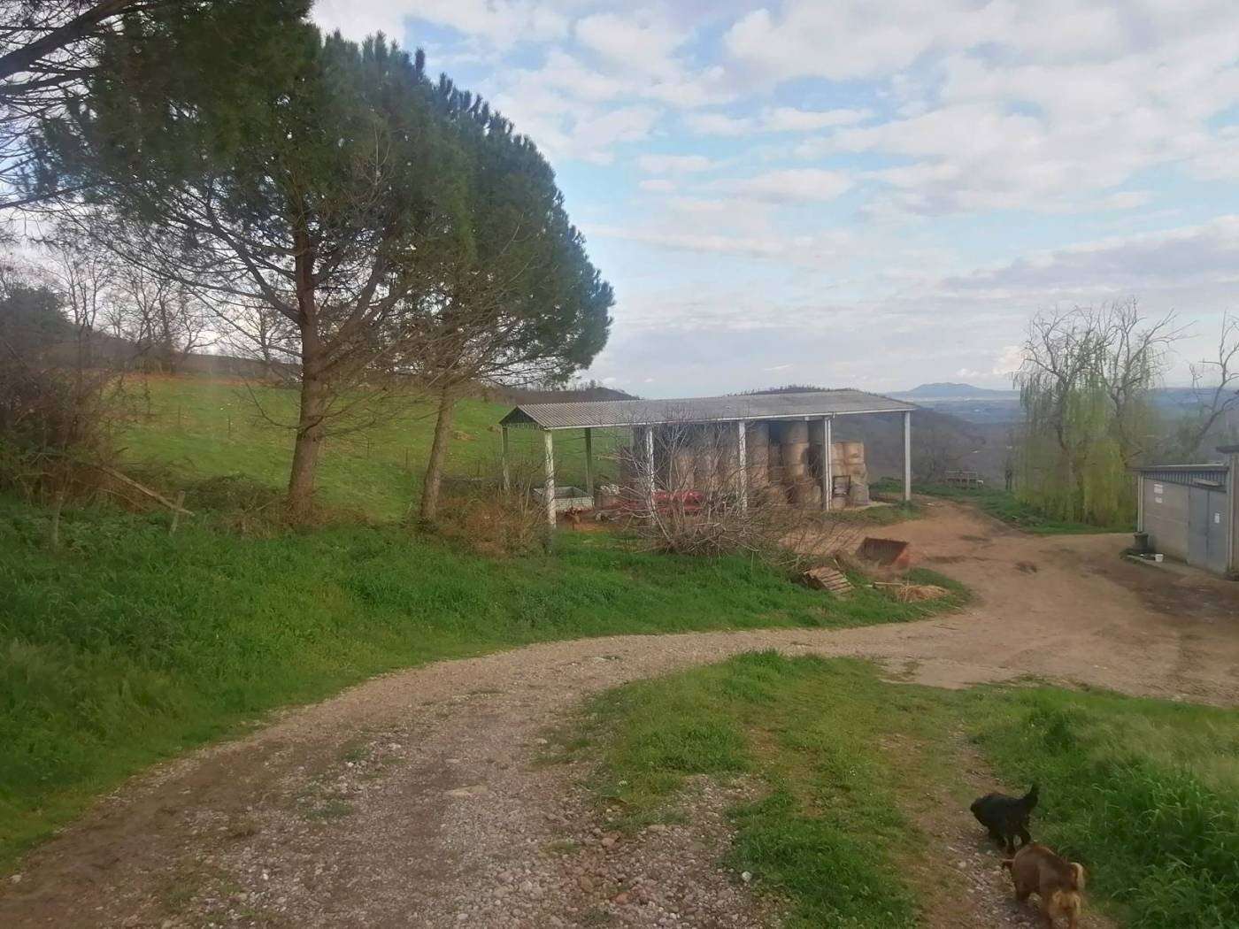  - foto 15