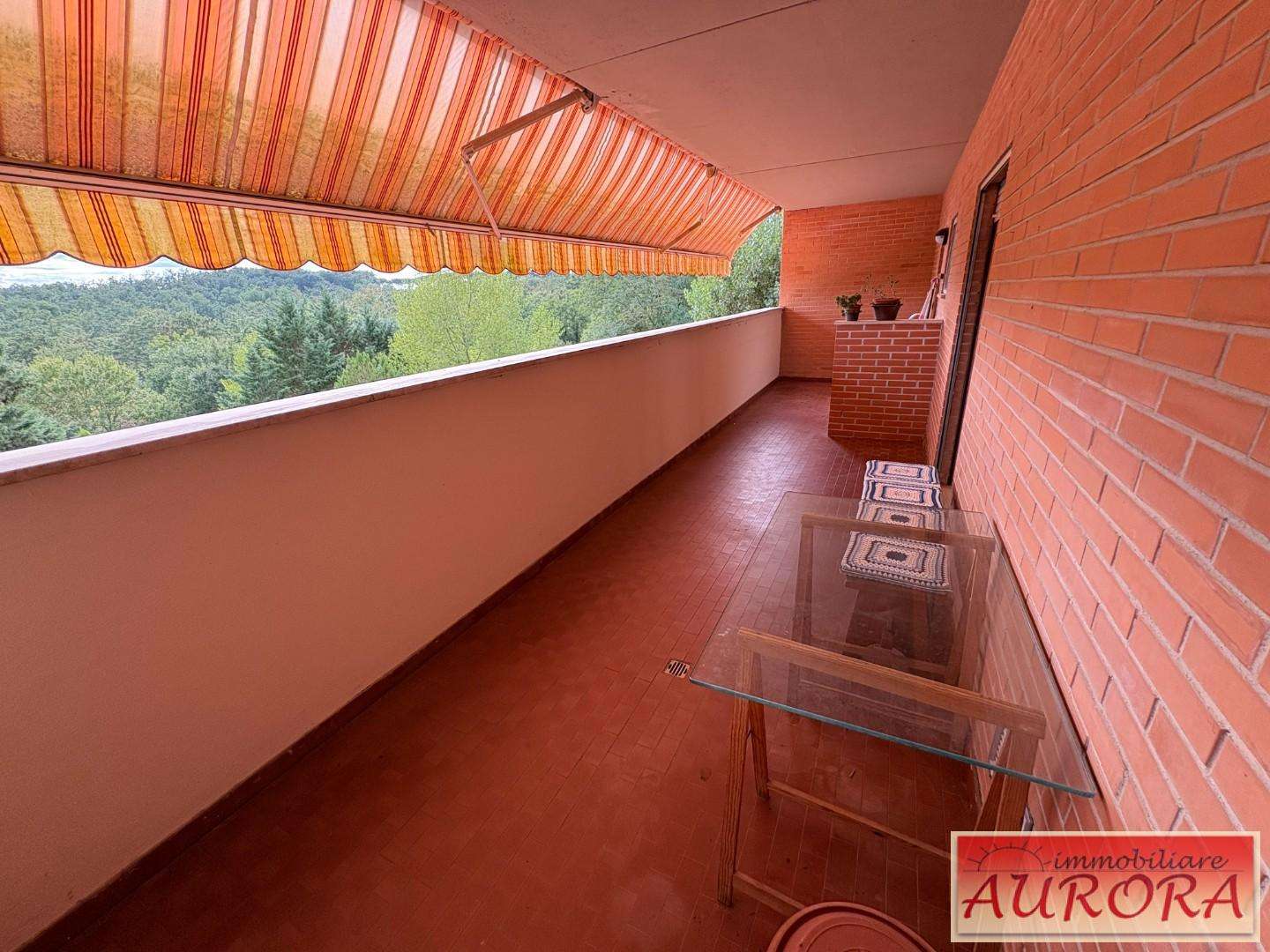  - foto 14