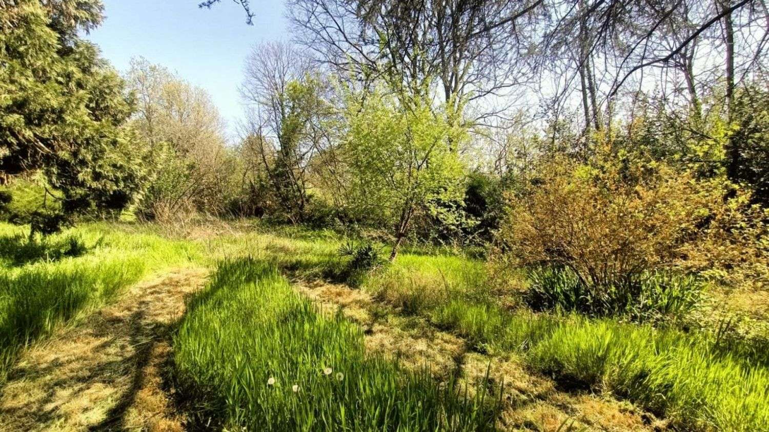 Terreno agricolo via valle scura, Castiglione delle Stiviere