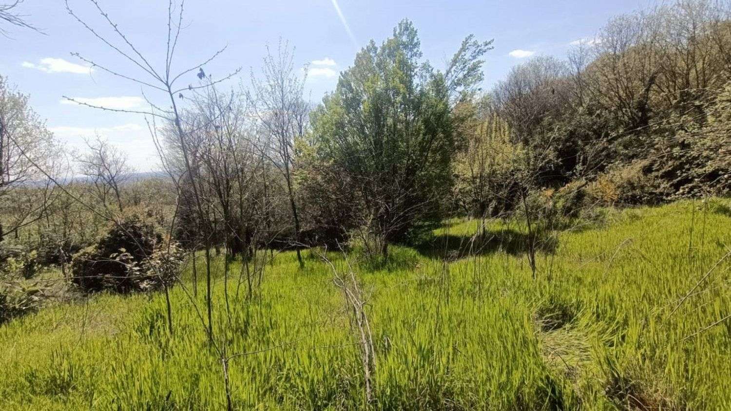  - foto 3