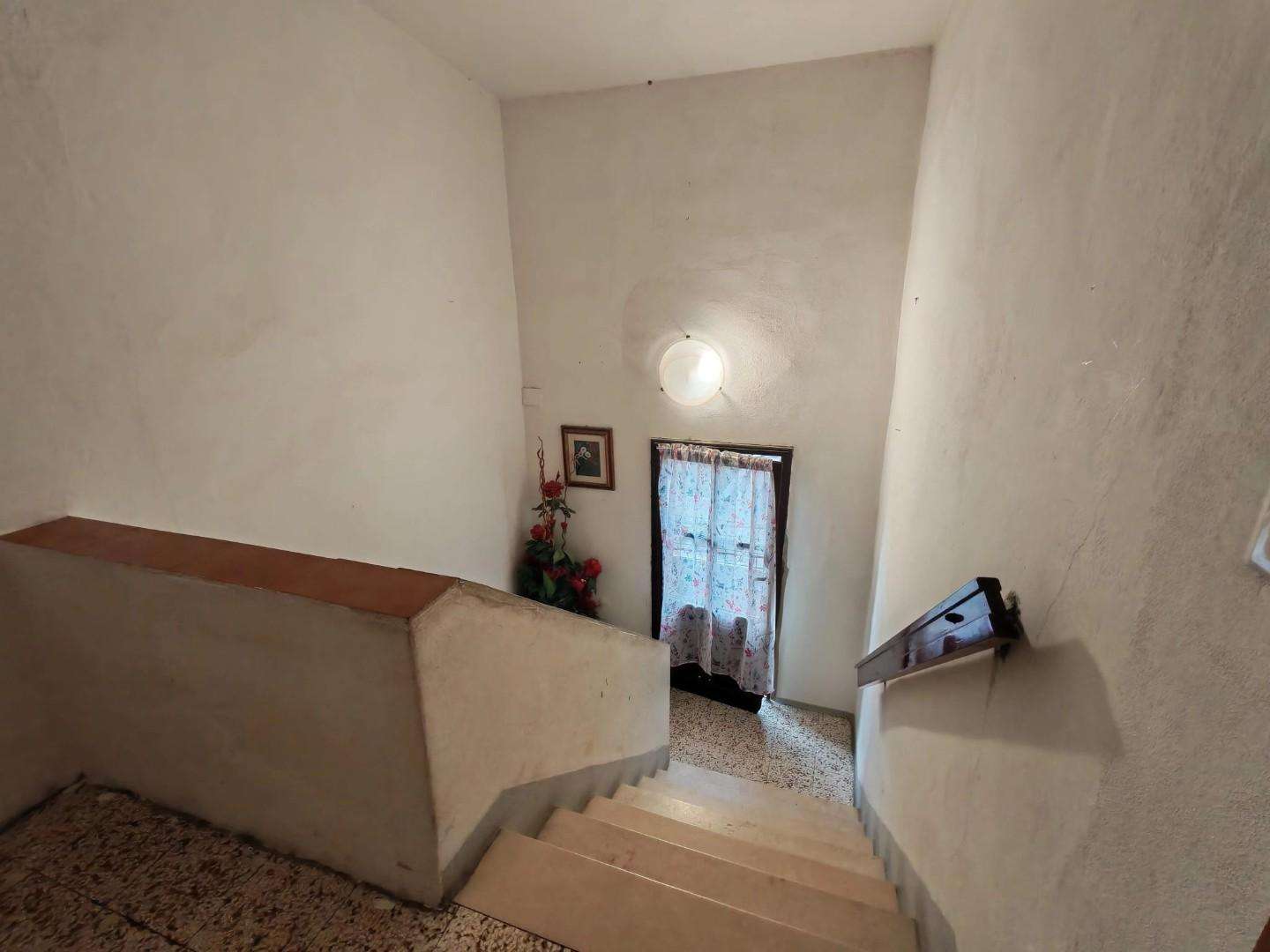  - foto 14