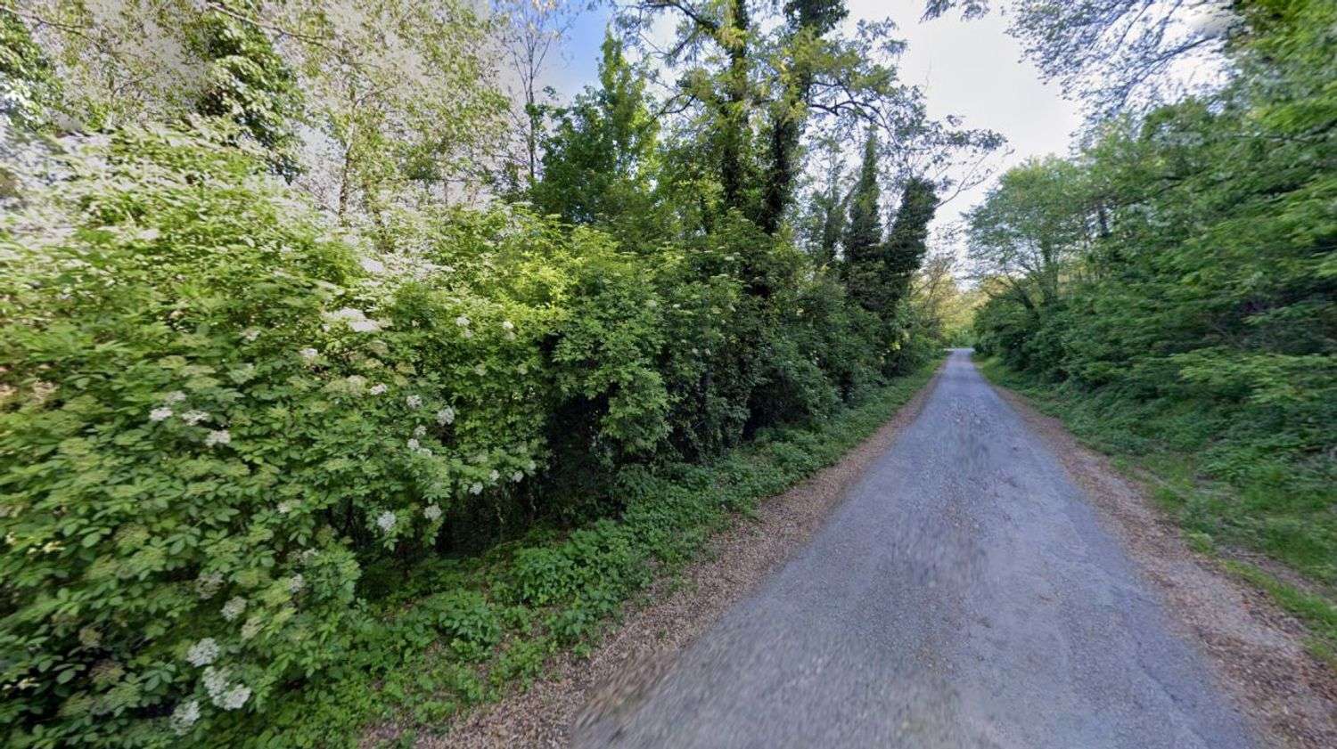  - foto 12