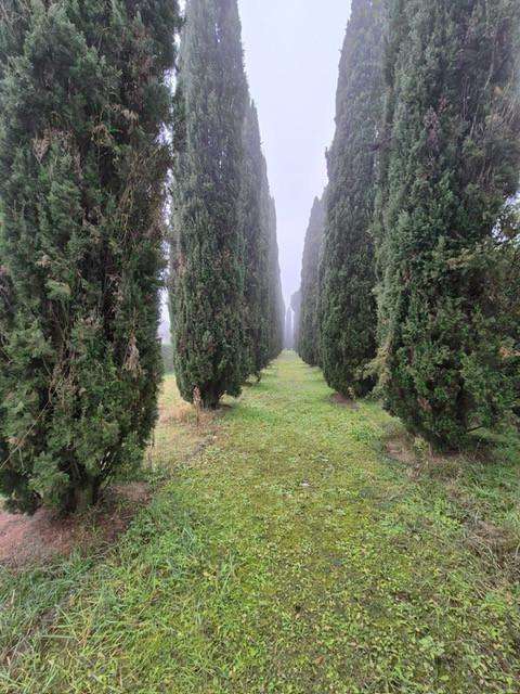  - foto 24