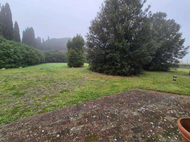  - foto 37