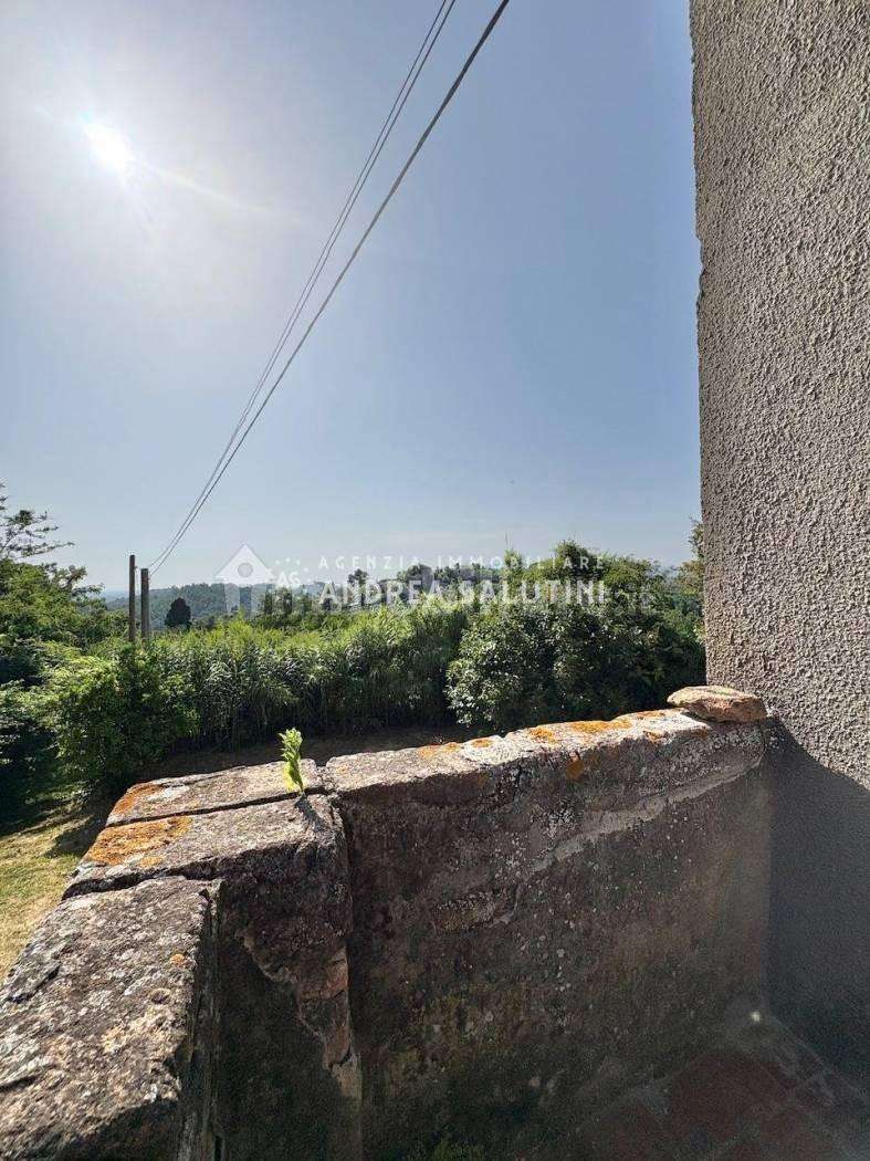  - foto 13