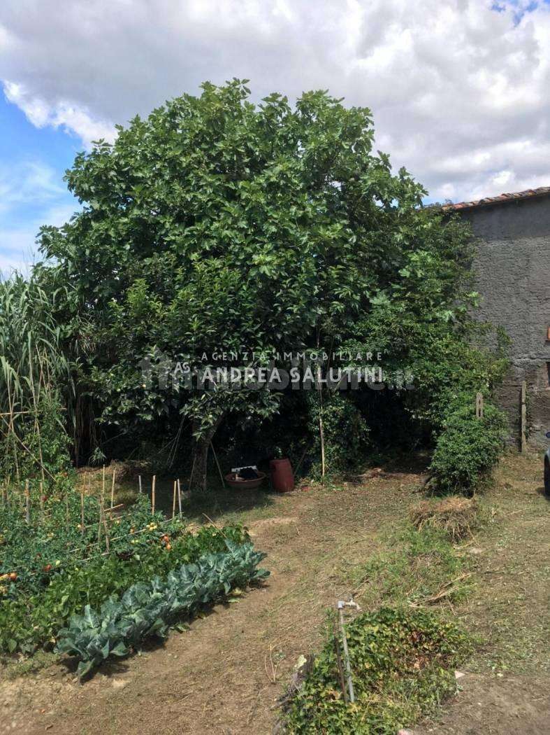  - foto 40