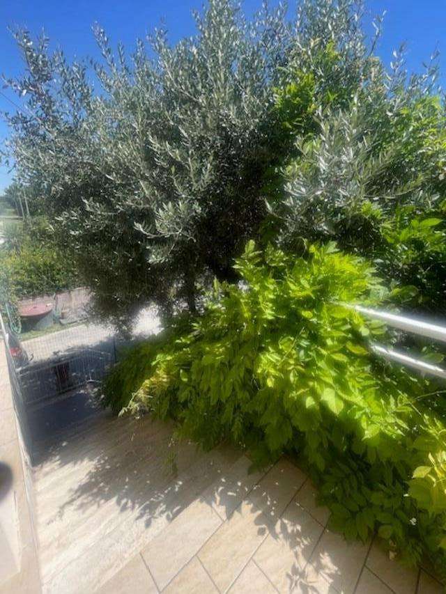 - foto 16