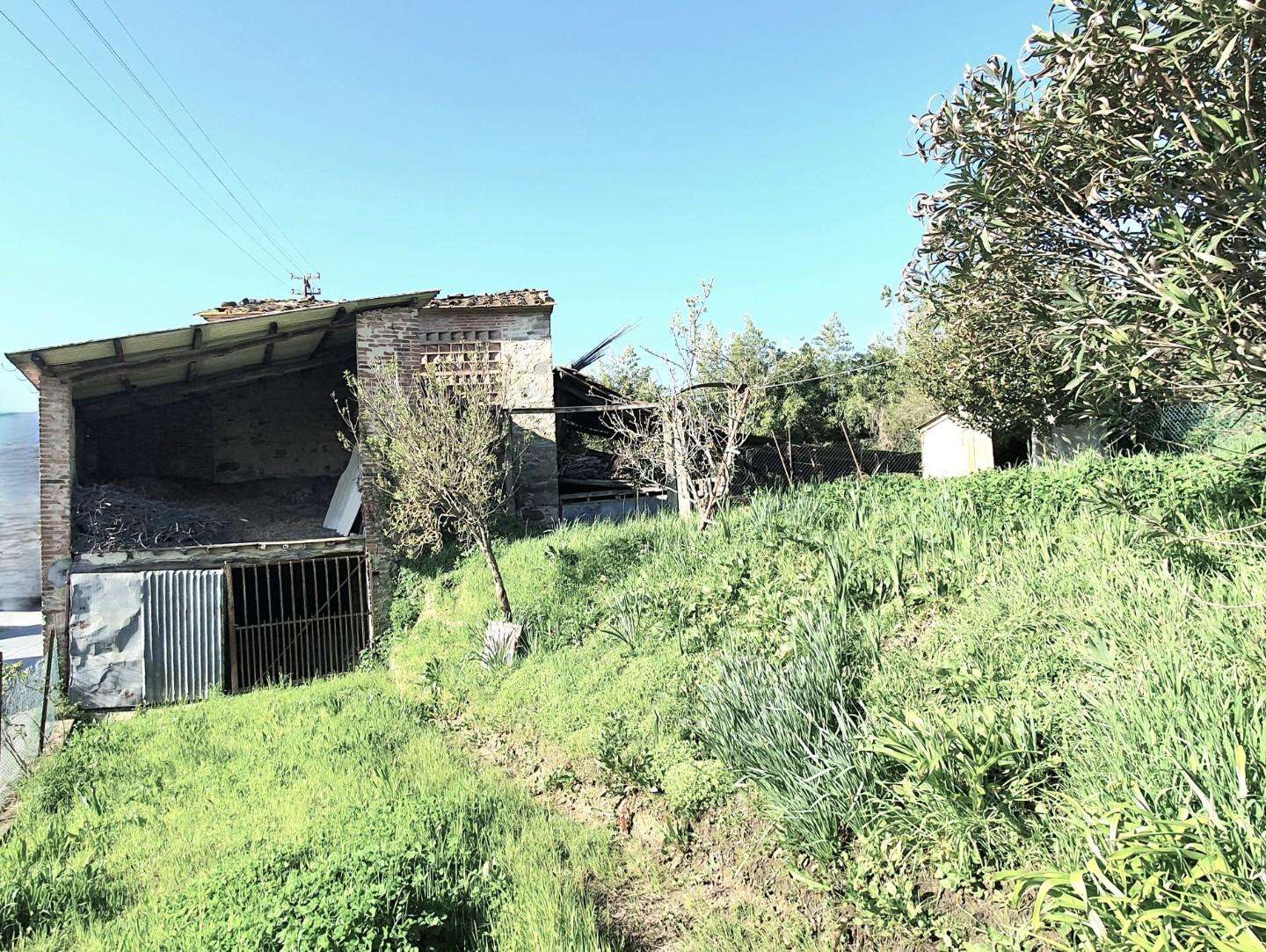  - foto 41