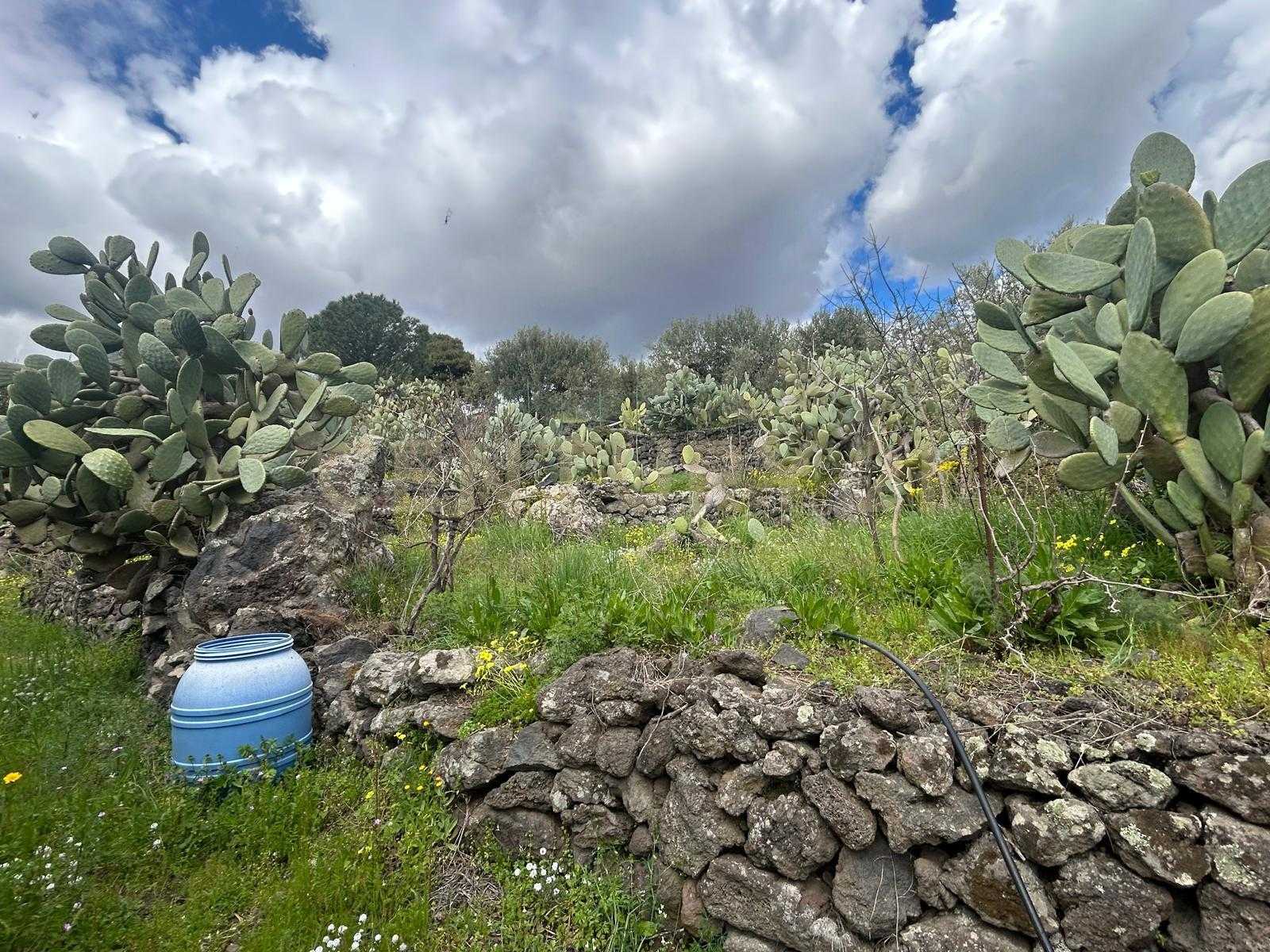  - foto 25