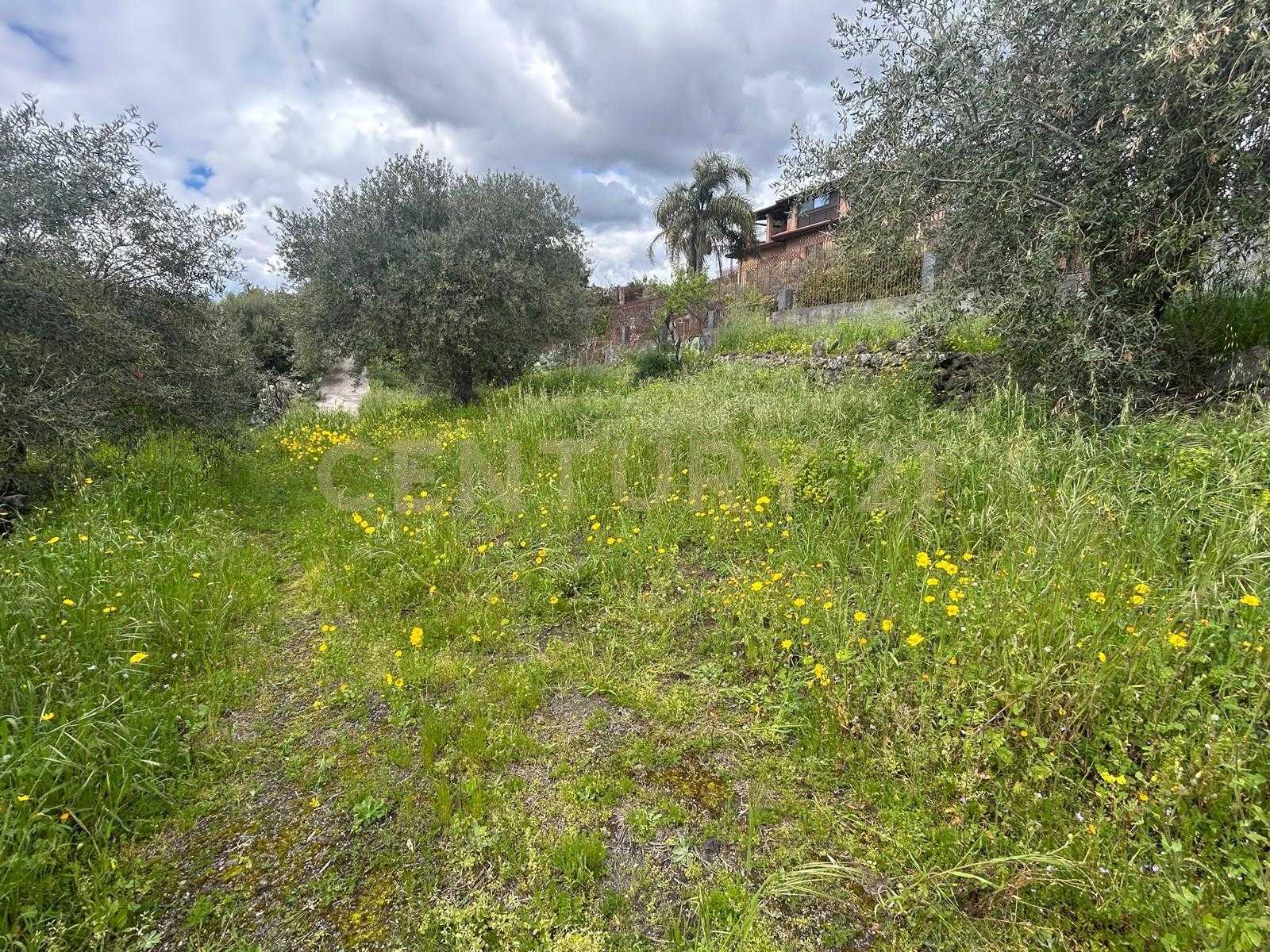  - foto 30