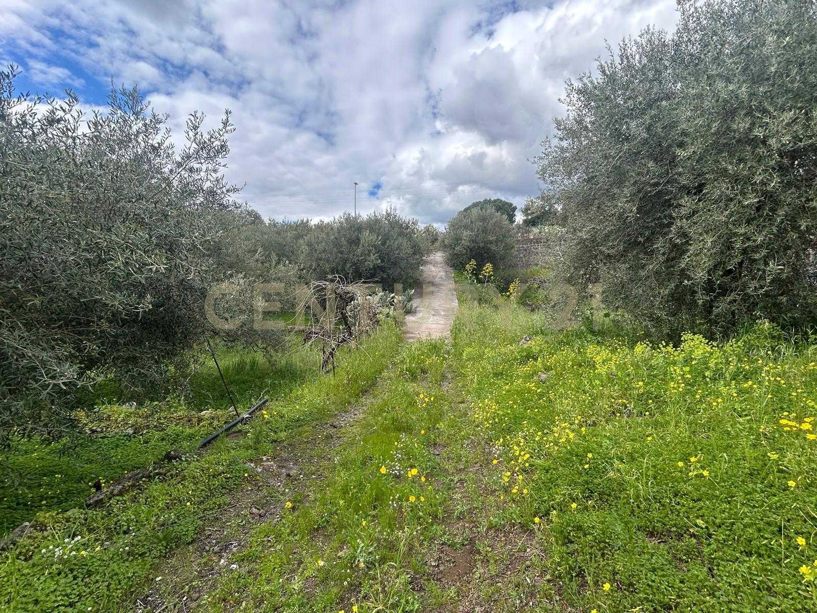  - foto 31