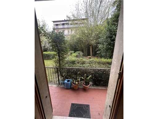  - foto 17