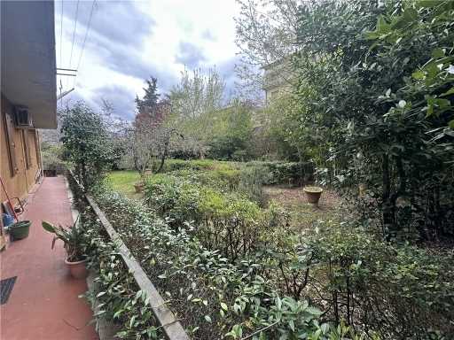  - foto 18