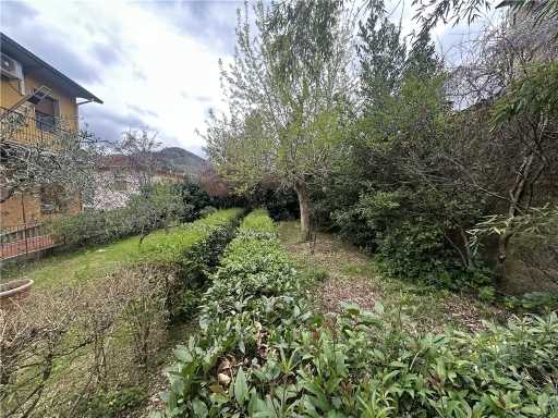  - foto 20