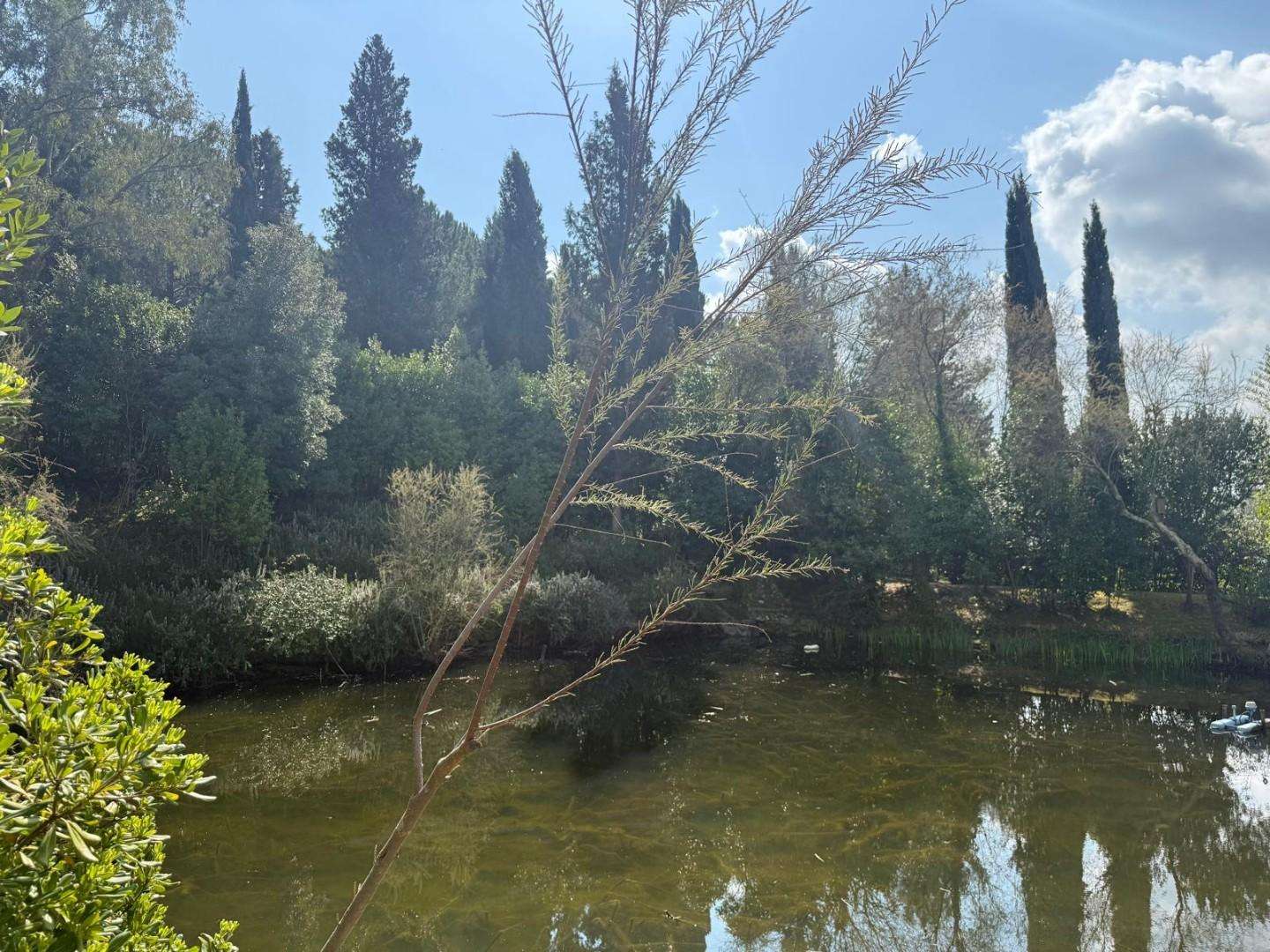  - foto 61