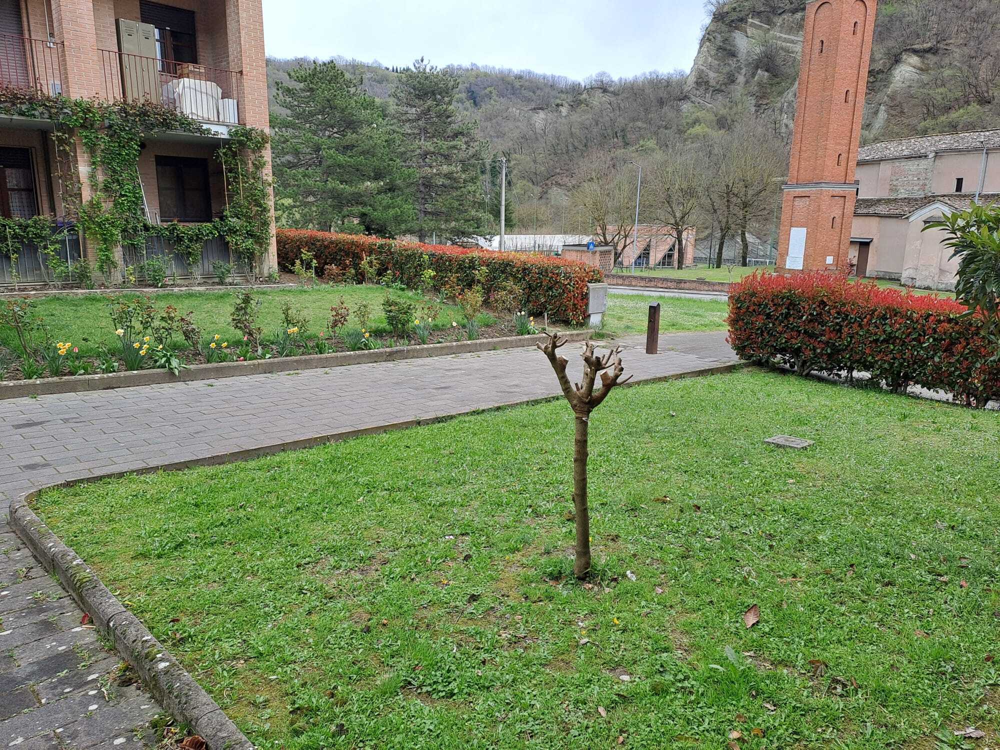  - foto 21