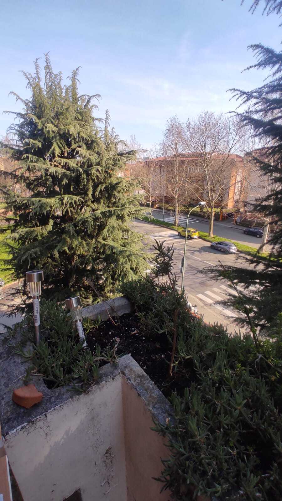  - foto 29