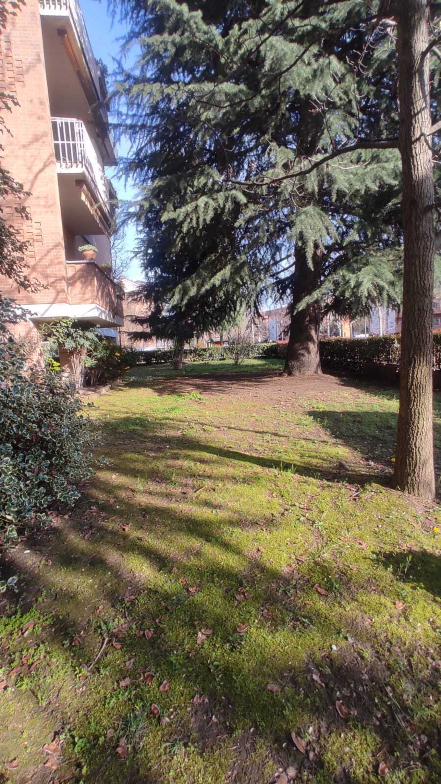  - foto 33