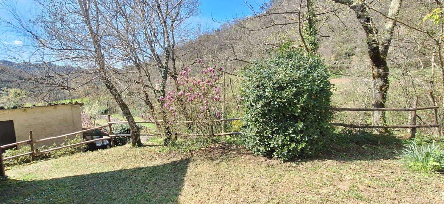  - foto 19