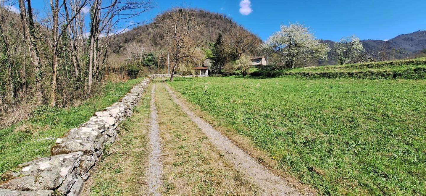  - foto 30