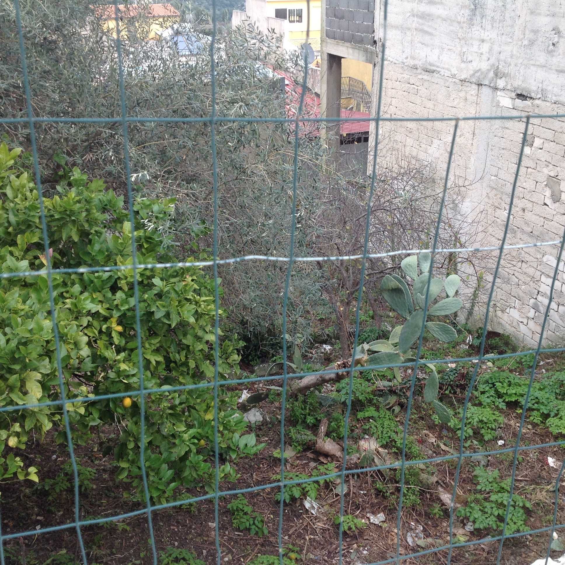 Terreno edificabile via Vittorio Emanuele, Canicattini Bagni