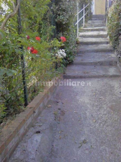  - foto 22
