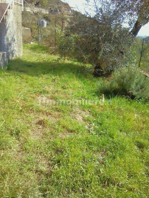  - foto 23