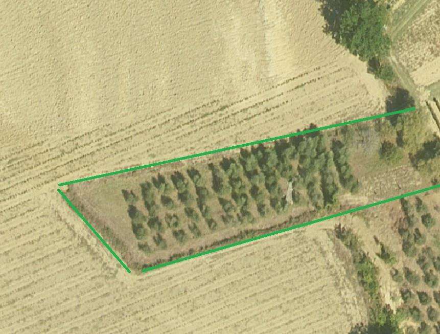 Terreno agricolo ,, Cerreto Guidi