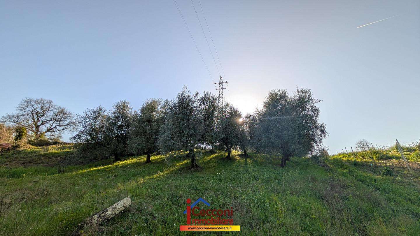  - foto 2