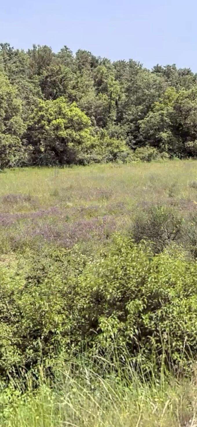 Terreno agricolo S.da del Ferratore,  53100, Siena