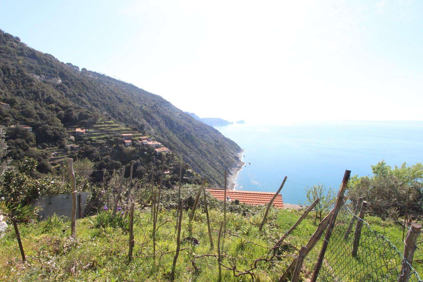  - foto 5