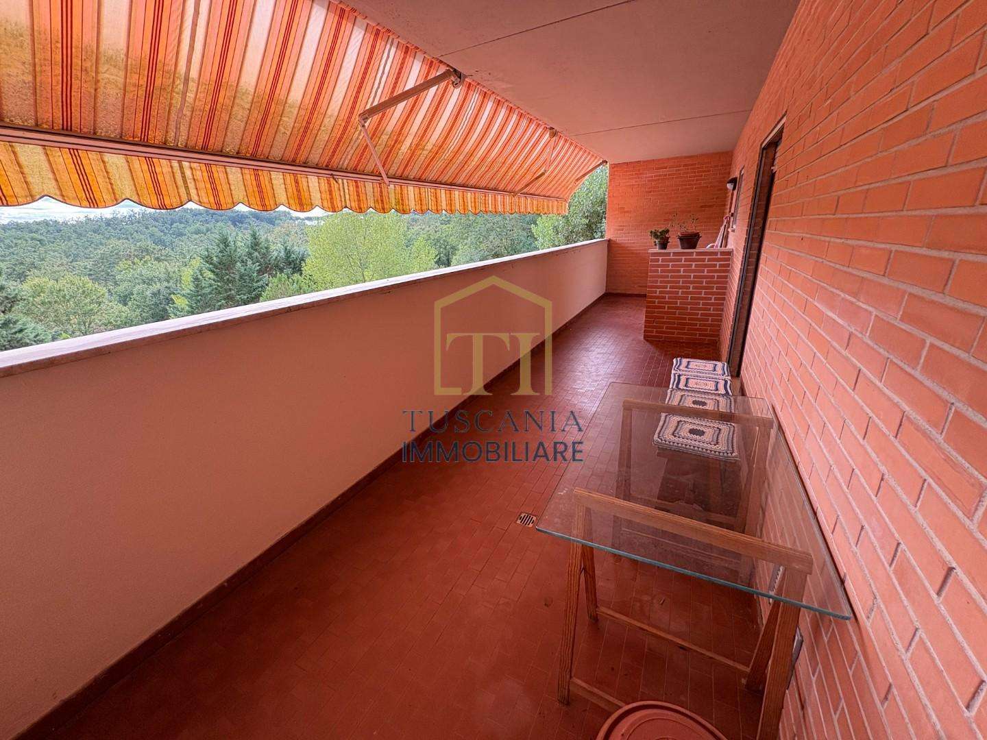  - foto 14