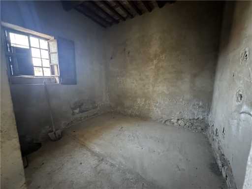  - foto 31