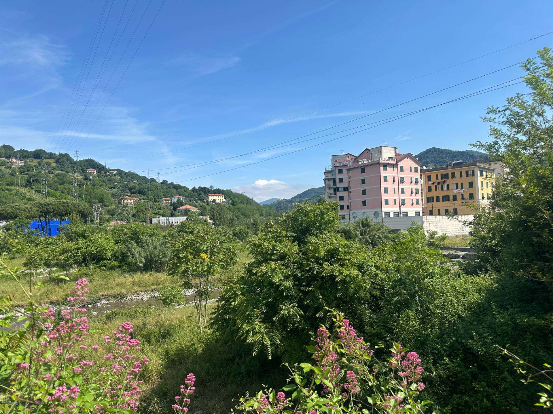  - foto 12