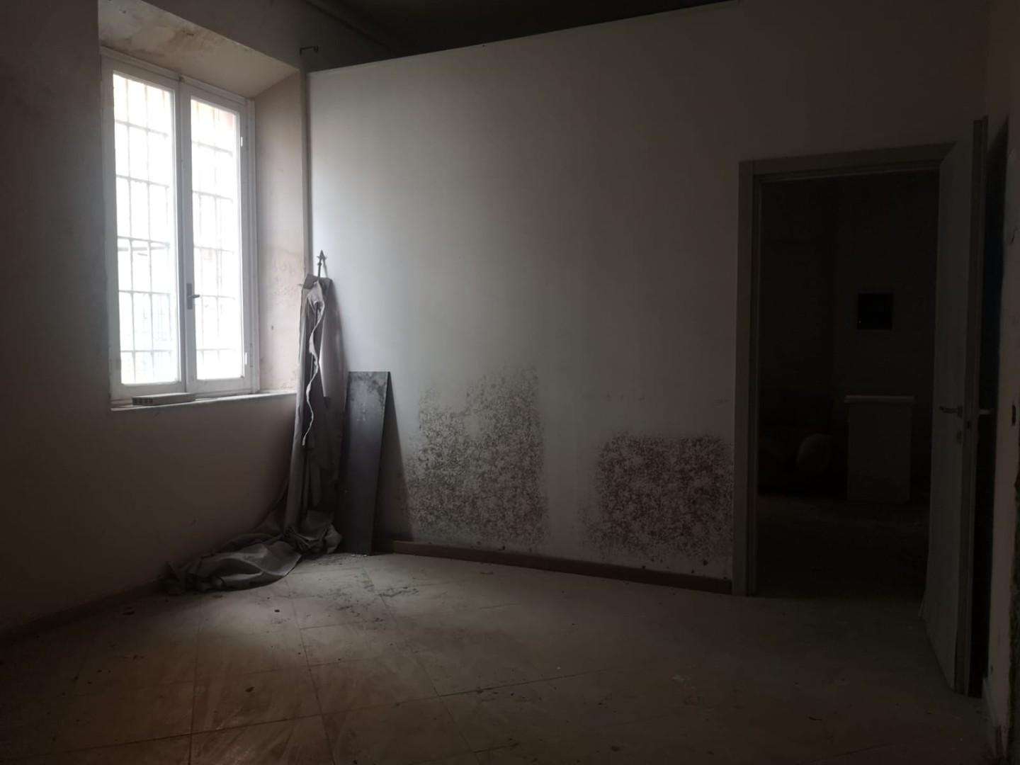  - foto 11