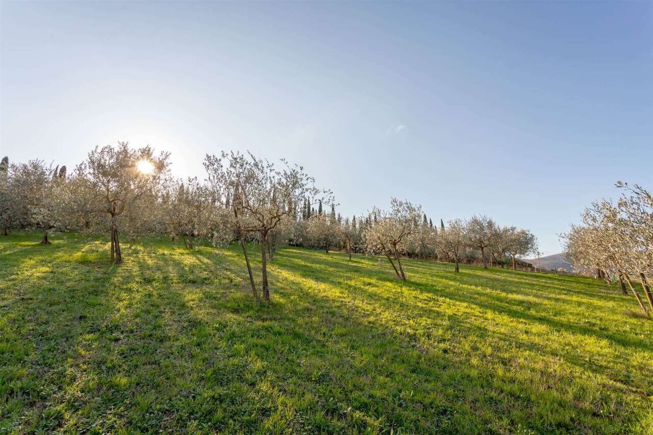 Terreno agricolo, Luni