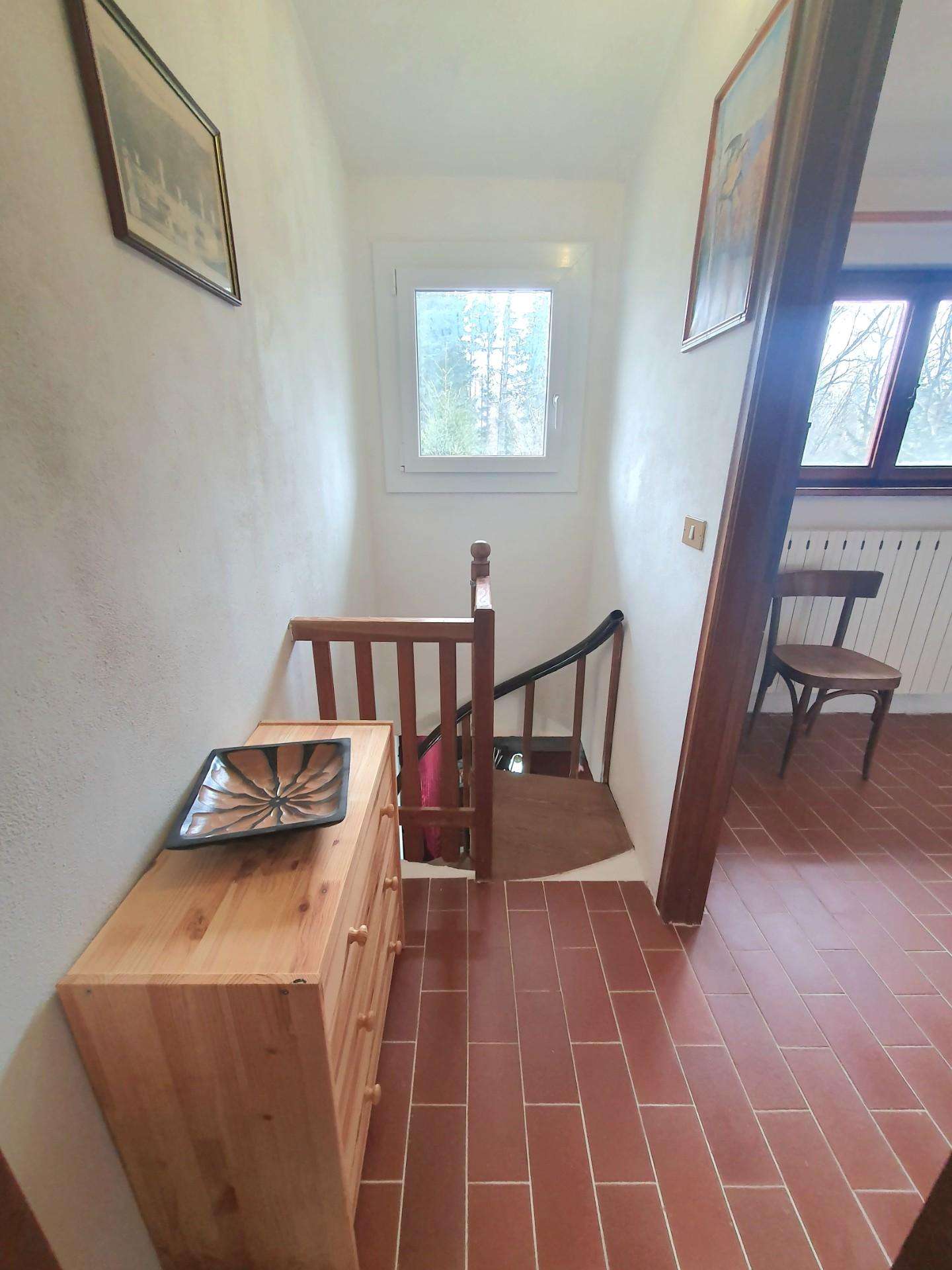  - foto 33